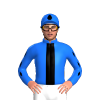 Jockey Silk