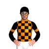 Jockey Silk