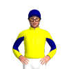 Jockey Silk