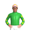 Jockey Silk