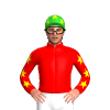 Jockey Silk