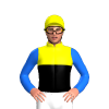 YELLOW, BLACK HALVES, BLACK DIAMOND BAND, BLUE SLEEVES, Orange cap
