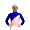 Jockey Silk