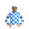 Jockey Silk