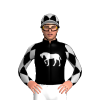 Jockey Silk