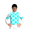 Jockey Silk