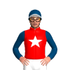 Jockey Silk
