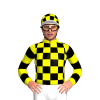 Jockey Silk