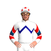 Jockey Silk