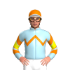 Jockey Silk