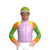 Jockey Silk