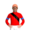 Jockey Silk