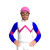 Jockey Silk