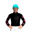 Jockey Silk