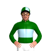 Jockey Silk