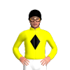 Jockey Silk