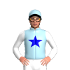 Jockey Silk