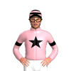 Jockey Silk