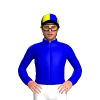 Jockey Silk