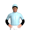 Jockey Silk