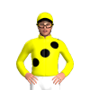 Jockey Silk
