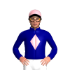 Jockey Silk