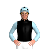 Jockey Silk