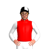 Jockey Silk
