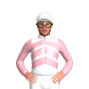 Jockey Silk