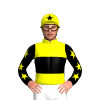 Jockey Silk