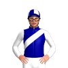 Jockey Silk