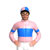 Jockey Silk