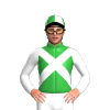 Jockey Silk
