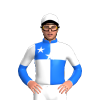 Jockey Silk