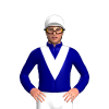 Jockey Silk