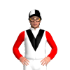 Jockey Silk