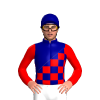 NAVY,RED CHECKS,NAVY DIAGONAL HALVES,RED SLEEVES 