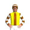YELLOW,BROWN STRIPE,BROWN SLEEVES,WHITE HOOPS,BROWN CAP,WHITE HOOPS