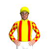 YELLOW, RED BRACES, CHECKS SLEEVES