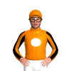 ORANGE, WHITE DISC, ORANGE SLEEVES, BLACK STRIPES