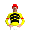 YELLOW,BLACK CHEVRONS,RED ARMBANDS,CAP