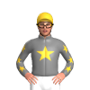 GRAY ,SUNGLOW STAR,SUNGLOW STARS SLEEVES,CAP