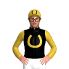 Black, Gold Horseshoe And Head, Sleeves And Cap With Black Horseshoe And Head