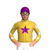 Gold, Purple Star, Gold Sleeves With White Stars, Purple Cap