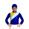 Navy Blue, Gold Diagonal Halves, Pale Blue Sash