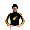 BLACK,GOLD FERN,GOLD STRIPES SLEEVES,BLACK CAP,GOLD FERN