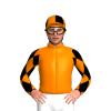 ORANGE, BLACK DIAMONDS ON SLEEVES & QUARTERED CAP