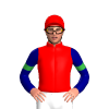 RED, NAVY SLEEVES, GREEN ARMBANDS