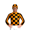 Fluorescent Orange, Black Checks, Striped Sleeves And Cap