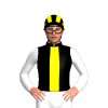 Black, Yellow Stripe, White Sleeves, Black And Yellow Striped Cap